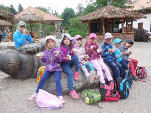 Výlet do ZOO